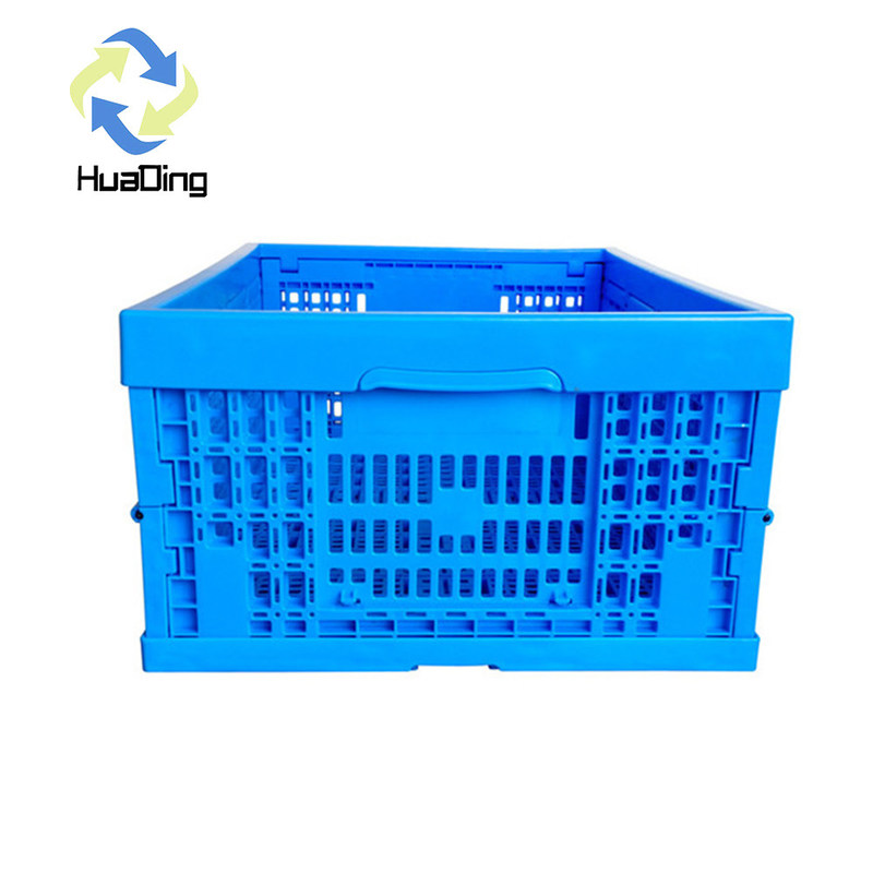 Collapsible PP Plastic Crates for Agriculture Storage and Shipping Solutions